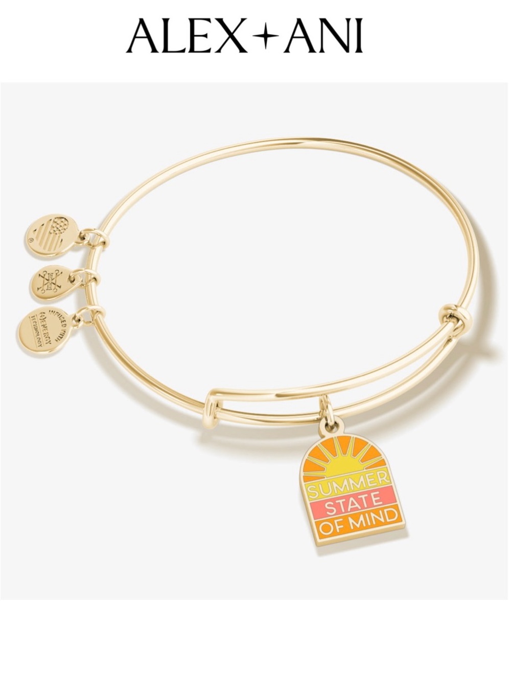 NWT! Alex and Ani ‘Summer State of Mind’ Charm Bangle